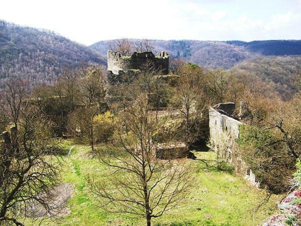 Garden Apartments Znojmo Dış mekan fotoğraf